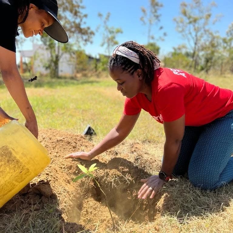 Environmental Conservation: Our Green Initiative Success